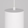 Подвесной светильник MAYTONI ORLO P085PL-12W4K-W