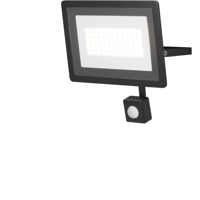 Прожектор MAYTONI FLOOD FL001-L50B4KSR